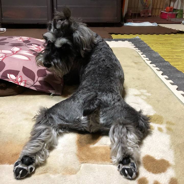 6319f0ce 2915 44b9 8819 60a6aea01379 1526996104102