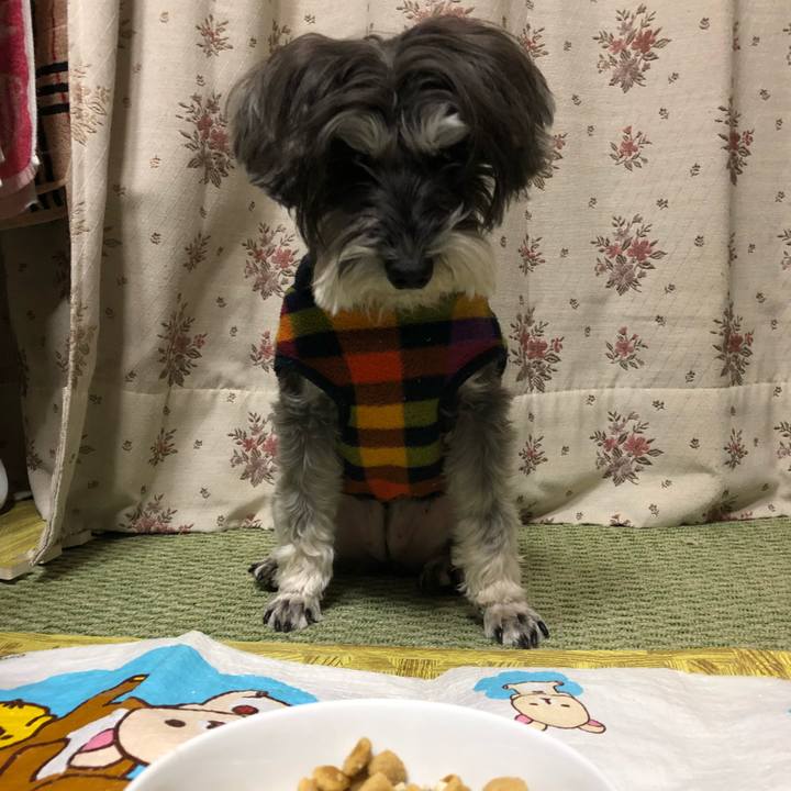 631a1d40 d34d 4317 bfac 0d6a02fdf952 1518189087905