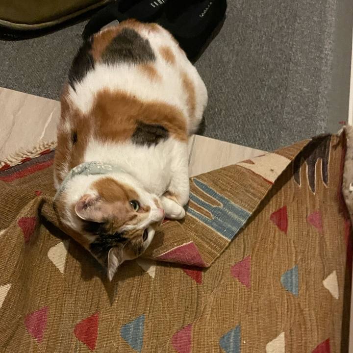 631a21e6 3731 466d 8f9e 7276457cfb73 1682292821655