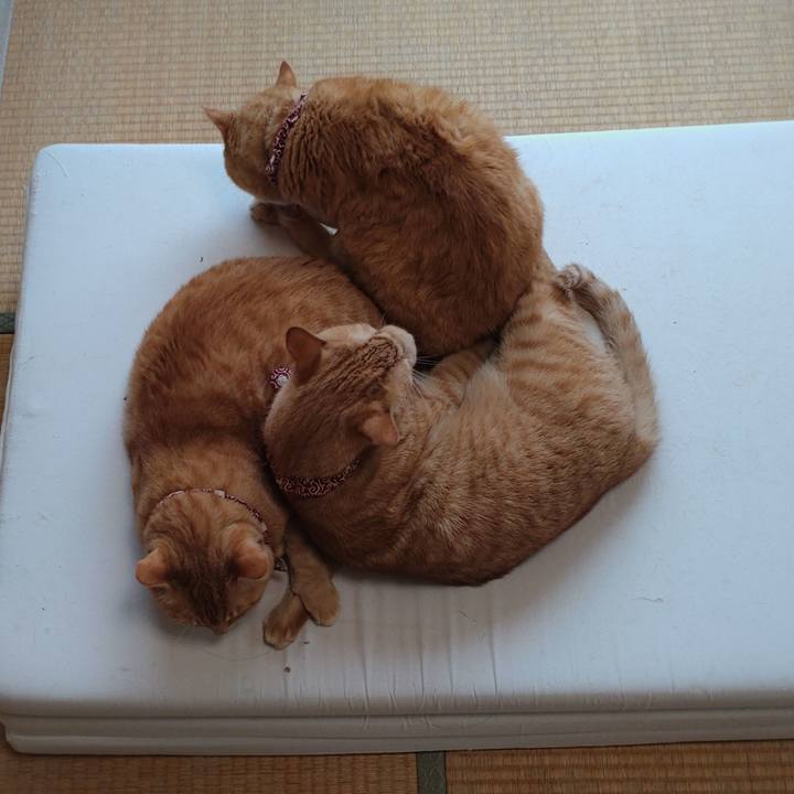 631a3068 b6ee 47a2 aae9 c421a0e23d67 1632640094105