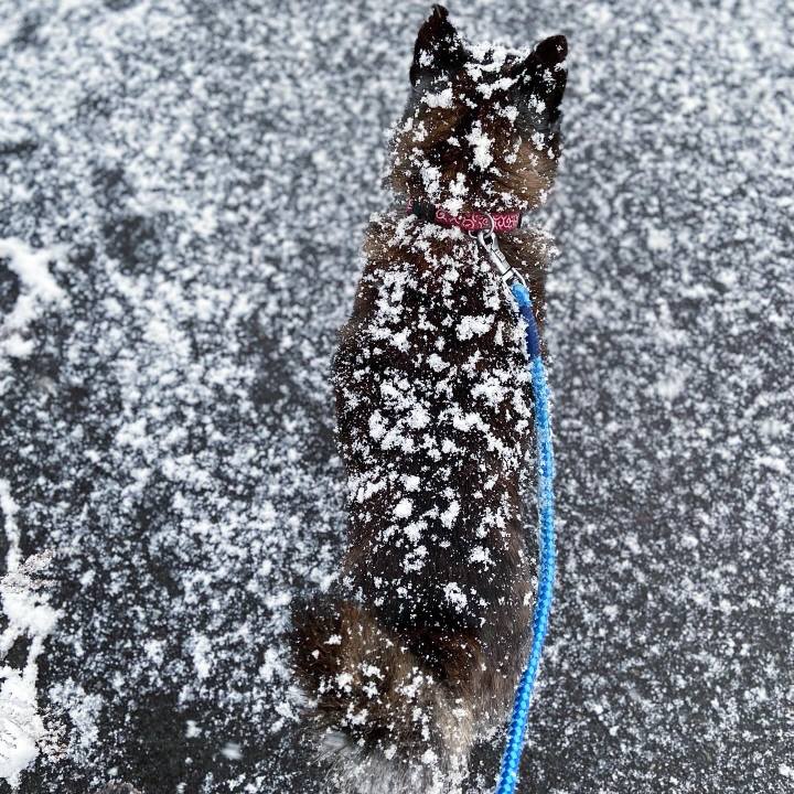 631a564c d464 4bbf a41a d996b2f728a4 1711059582683