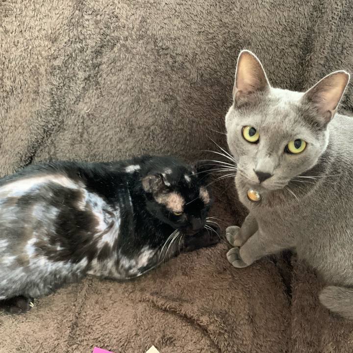 631a5929 58e5 4793 ac39 8c7f0dd3b90a 1575681357438