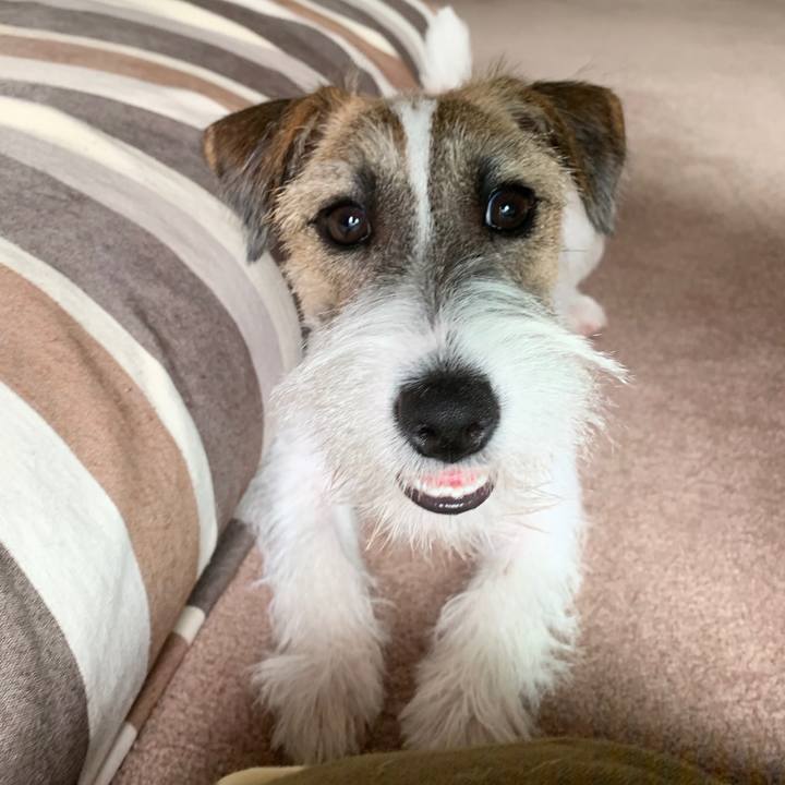 631a5937 5b8f 4f95 92f4 2184bfe8d5aa 1571877220817