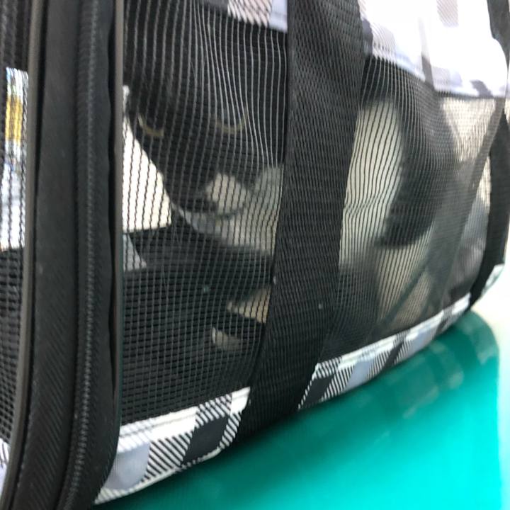 631a9a2f 7158 4f94 ba48 b1cd623db577 1530690443331