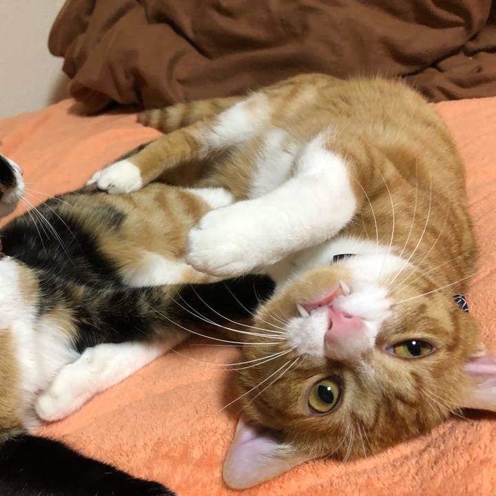 631a9b9f 492b 44a1 b639 1fdf2a2e235f 1557836974962