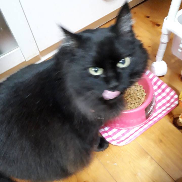 631b031c 7a6c 4215 898a e87503fb464e 1520804839760