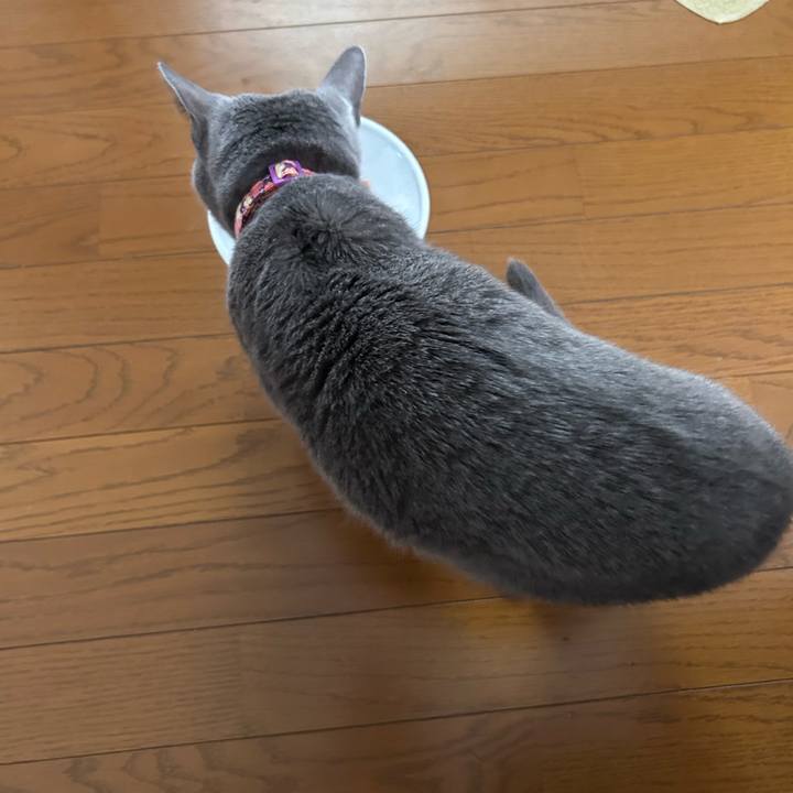 631b2149 f7f4 4e33 bc7c 72d33182b9a9 1762216459038