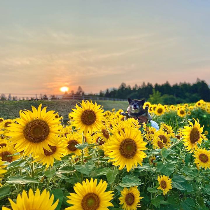 631b29f3 5b49 4d7b 95c1 f0f0797f2274 1659785570547