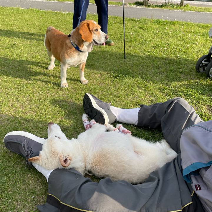 631b67ce a625 410e 92d1 de97ed5c4120 1683643151010