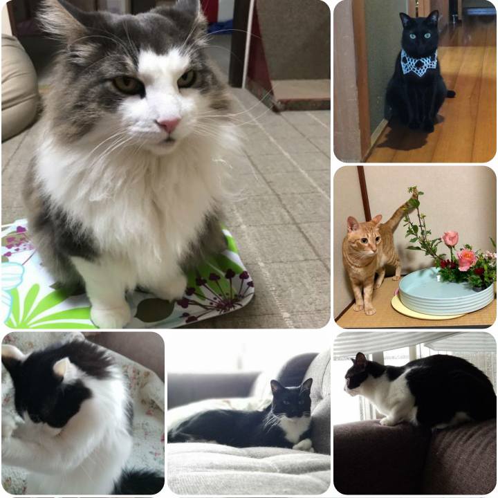 631baf91 273c 4fb8 9ccb 5207c69cacfb 1561722701487