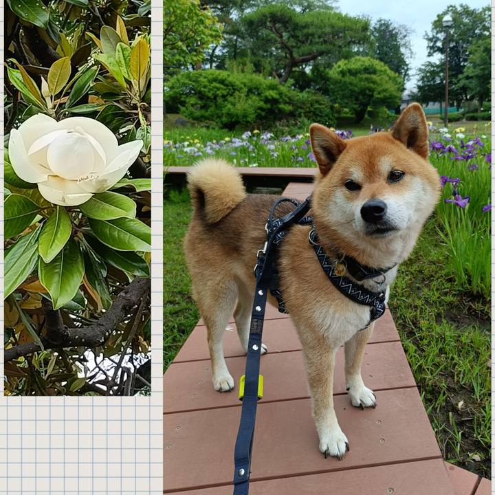 631bbe59 5c68 4b69 9a07 bb1fa0ca5733 1749345842907