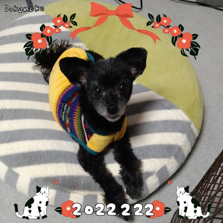 631bce7c 6785 451f b37b 44ee13bddacd 1645530884261