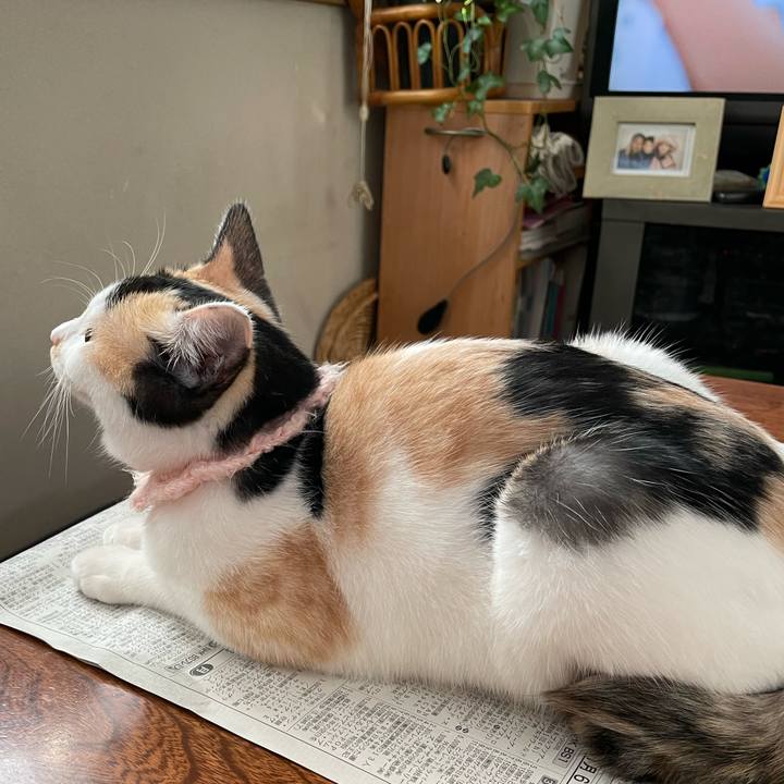 631bd7ce f7e9 49d9 bd2c 33ae157e666f 1668040878337