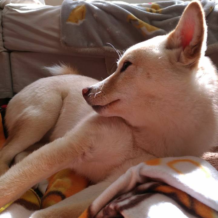 631bef6d 5684 493c 8d3f b098e83869f3 1517800675562