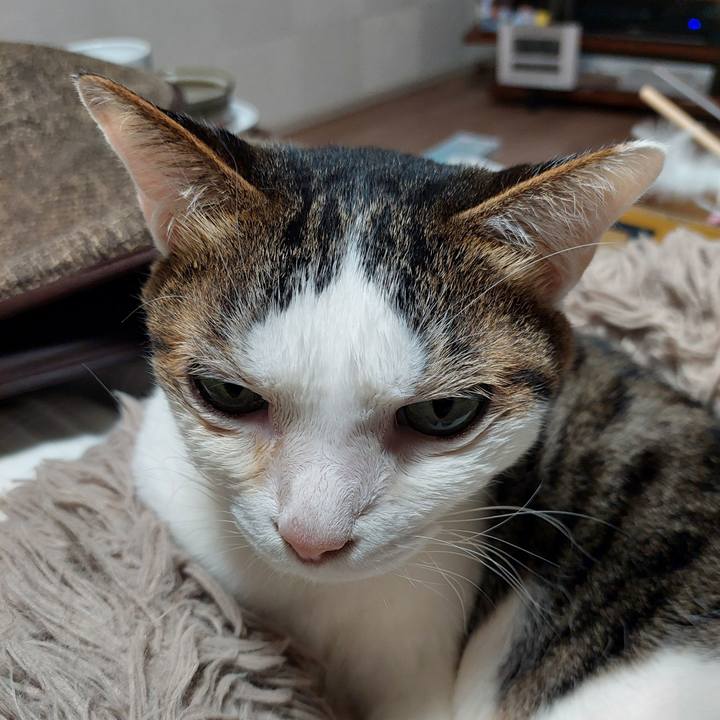 631c334c 1cf6 4cb2 abf1 3ed2da13c25c 1732171599429