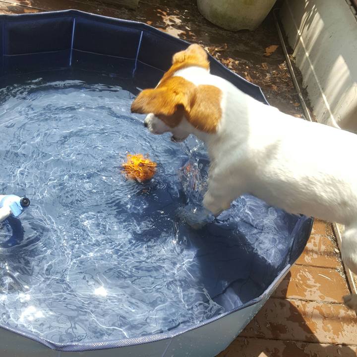 631c33c0 34f0 4c71 98dd bbb2e2d26c59 1591334442994