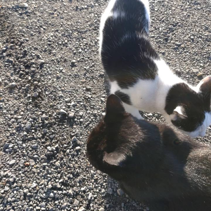 631c4b21 020a 437d aaa4 3f8d19d40925 1732841535188