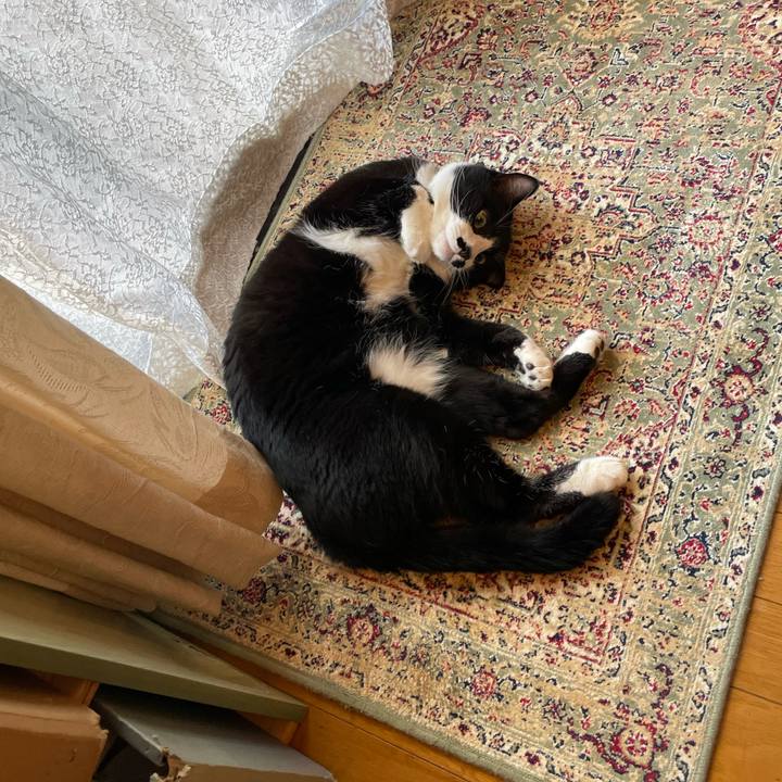 631c51a0 0964 40da a9dd d6c12cf46c0f 1719111088291