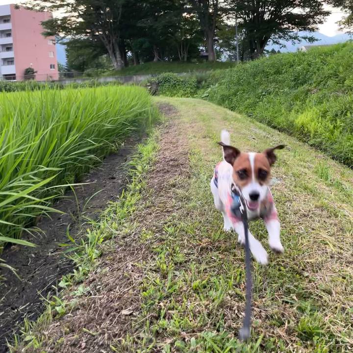 631c7df0 332e 42a9 b3bd 2278cd476ae9 1626780468945