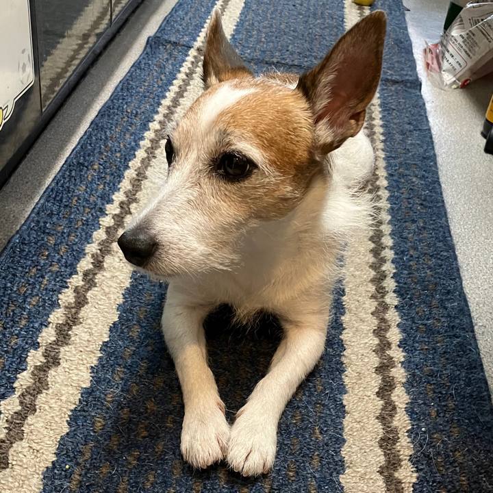 631cb189 f10c 4e94 86ef b33bd280d323 1697411856241