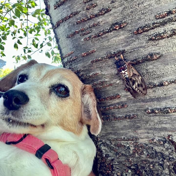 631cc324 6944 41bf 9dd4 4d550b9c6baa 1723893882756