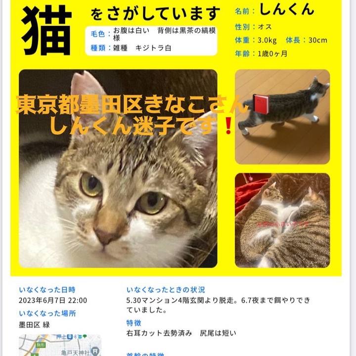 631ce719 3a1c 4b63 b9b4 3445c309c77d 1692526236749