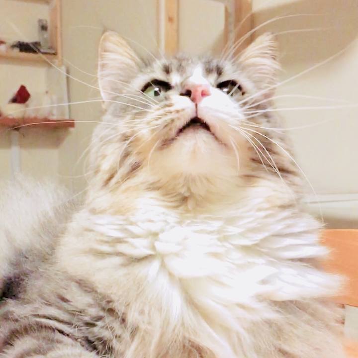 631d29fb 3b37 4a1c ba0c ca06842e24e5 1538424250146