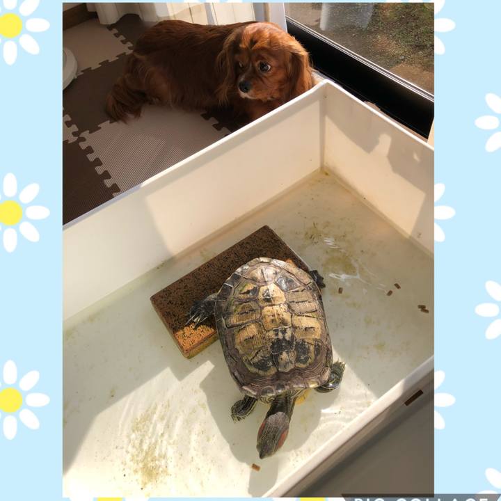 631d3246 a792 4955 b74a 57ad81acb4bf 1585957054254