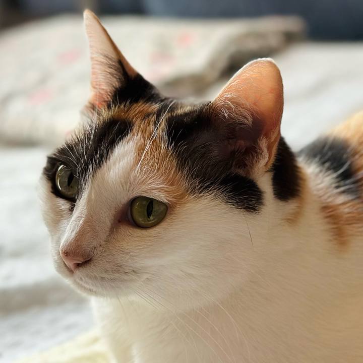 631d429b 3eee 4334 8edf d497082814fa 1693615722313