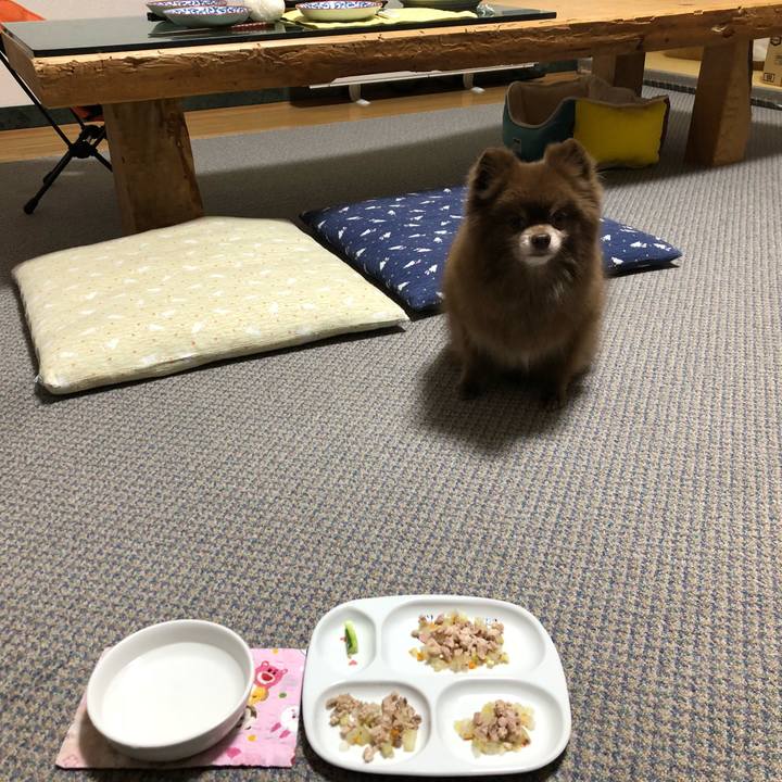 631d732b b606 48e5 aaa3 2e03bc13edea 1544141181791