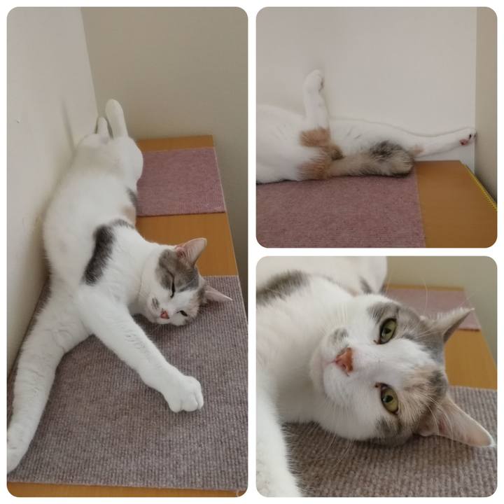 631d8949 6e7a 4635 8d76 181c9b9811d1 1591695431991