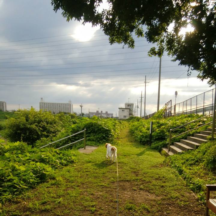 631da2ff 55ec 4108 82be a2941127e0e8 1563191127969