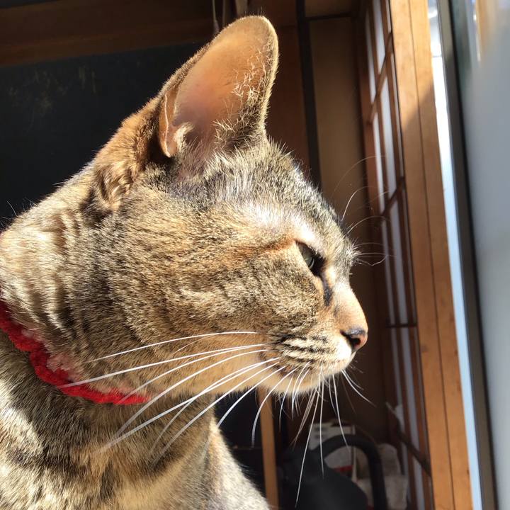 631dc28e e8ed 432a 9a63 14e609adc60c 1681191250885