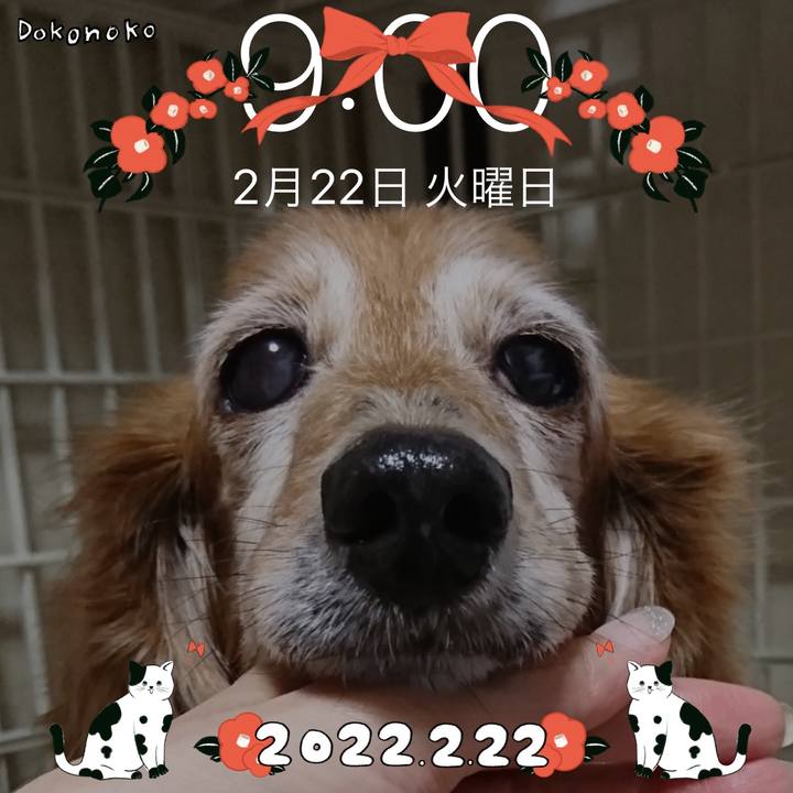 631dd457 5457 4334 9fcf 1ec9abb8e26f 1645510958582