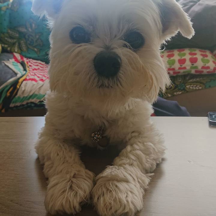 631e0ccc 5c2c 4343 bb76 27b43d080445 1679188772819