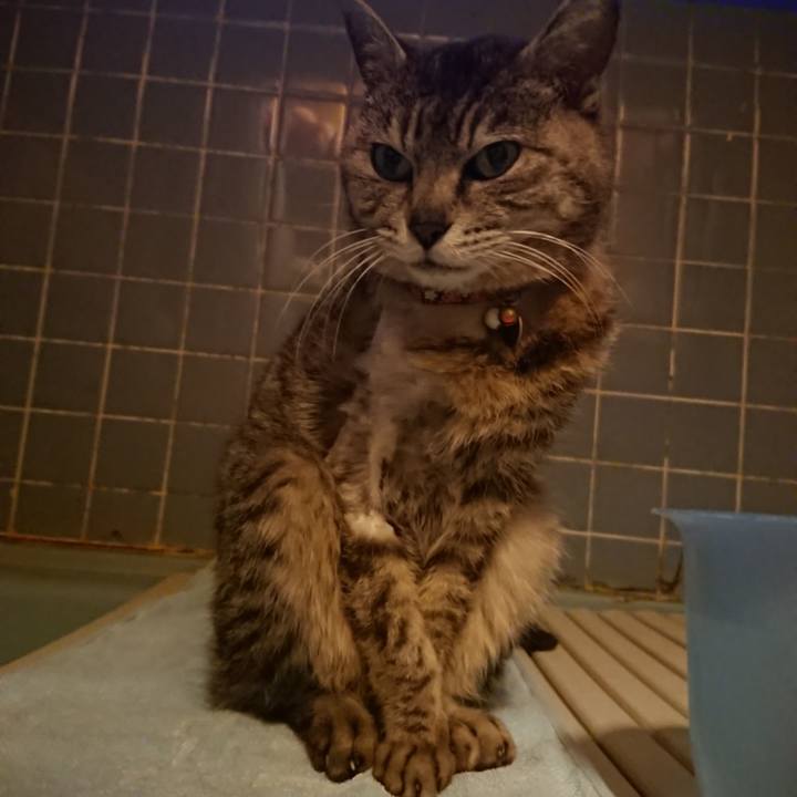 631e3517 2a8b 49d4 8e19 4b58390bc5d5 1590747764291