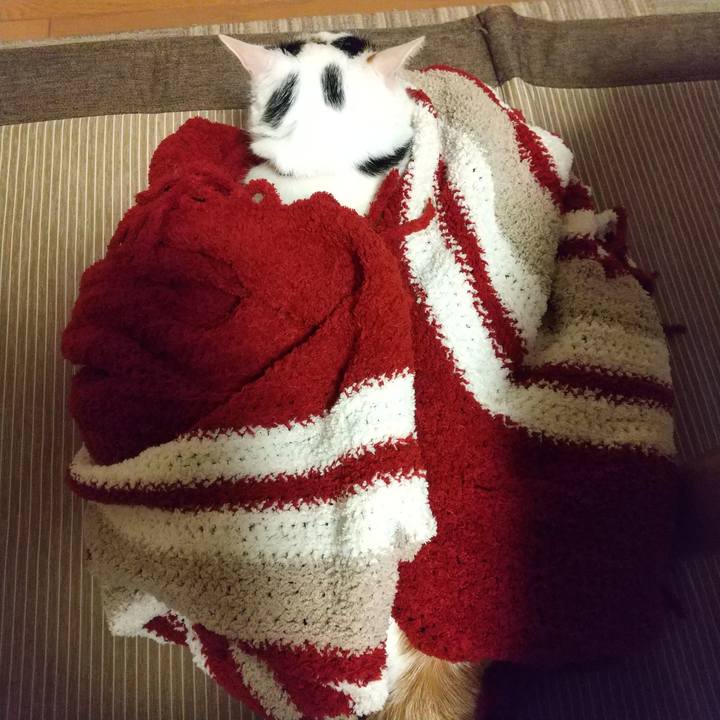 631e3ef5 8974 49c1 8168 b8ea7255318a 1633521056734