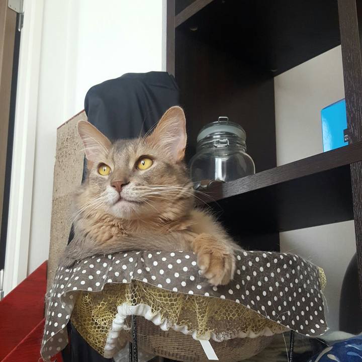 631e4879 9f00 451c a3b6 a47ec85b090d 1565510943987