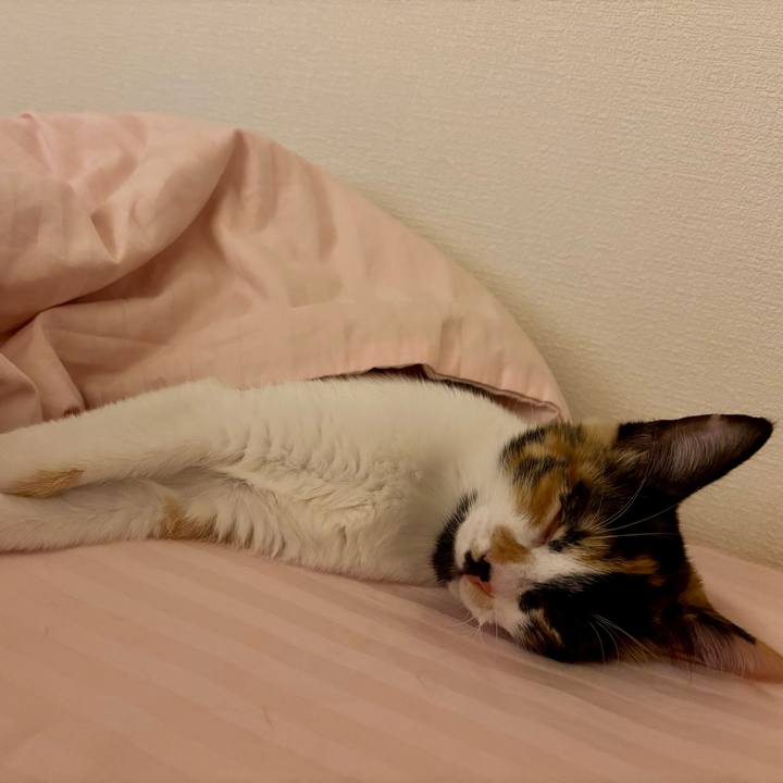 631e841d 3f43 4ff8 acb2 08f56aa91cbc 1757772503968