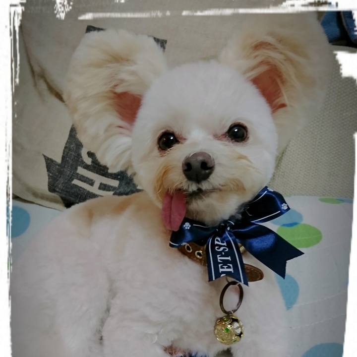 631ea96e ae4e 4de9 bd1a 8dea9c5656b4 1605115254687