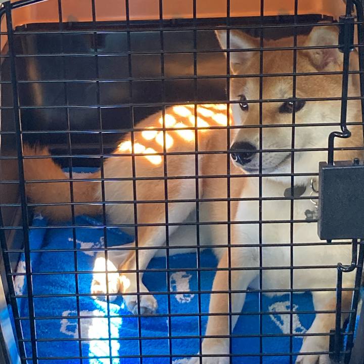 631eb9a6 7f66 4d26 8e50 ce1500fb687d 1659140349025