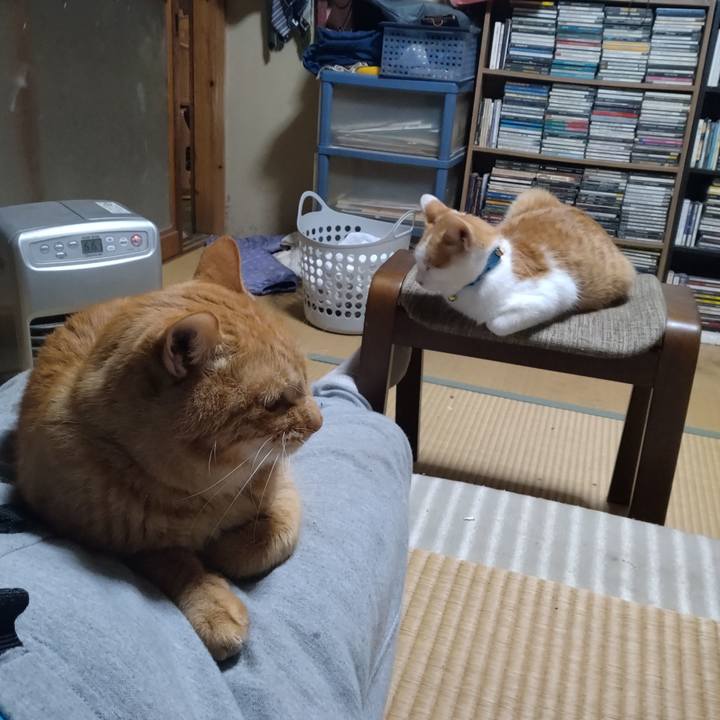 631ee61c ff97 4aa8 9cd1 09dc6cc9f6d4 1733212776902