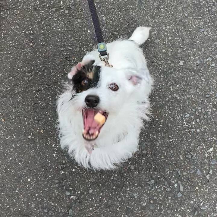 631eeed9 e20a 4115 baab 83ca51bd156d 1658188266763