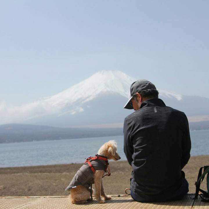 631f13f0 85f3 478c a22a 2b1e88efb28c 1648771942633