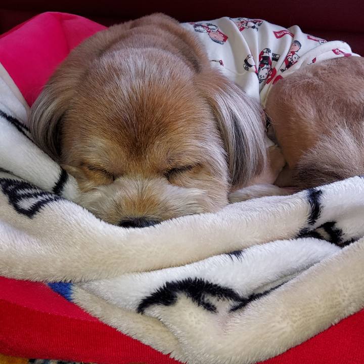 631f56de 9f56 4158 80c2 db83c9f427ca 1636860177577