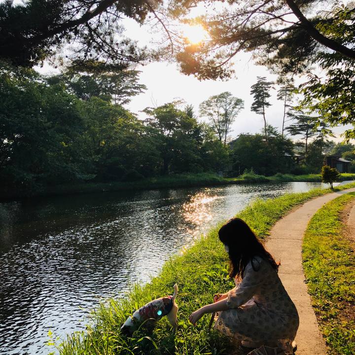 631f655b b655 459f a858 e1424c553b12 1597913568692