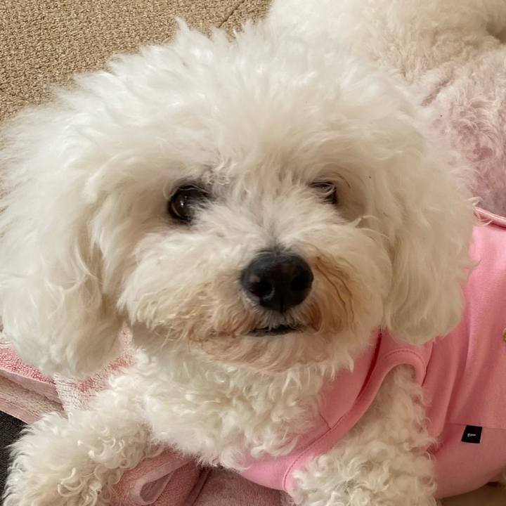 631faccb a2dd 4e3a 9977 47cf2c3c5d17 1731030476201