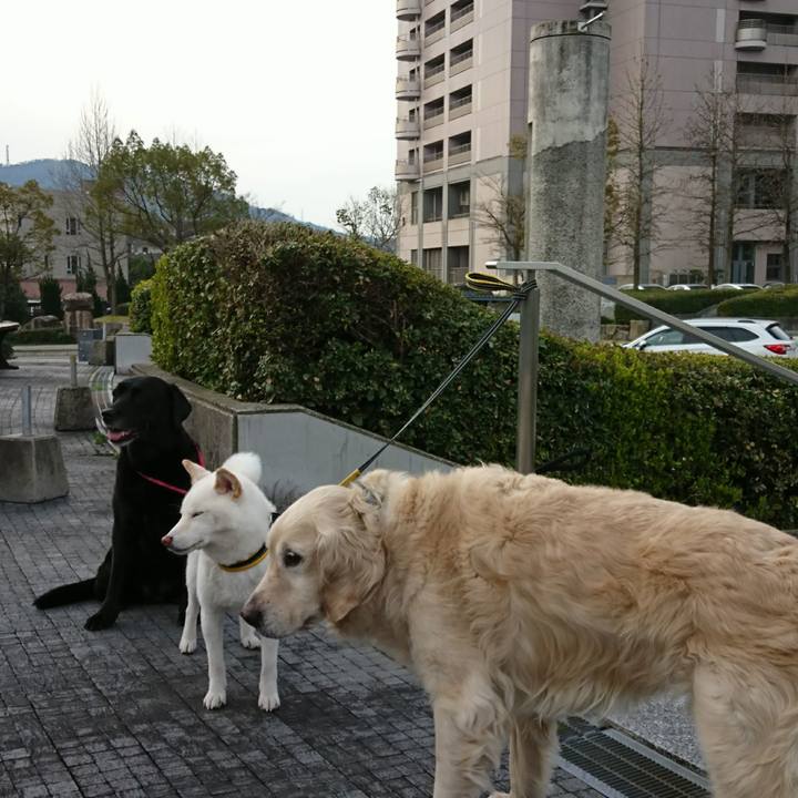 631fdce7 fbc9 412e 8eaf b83bb68752e5 1548216261896