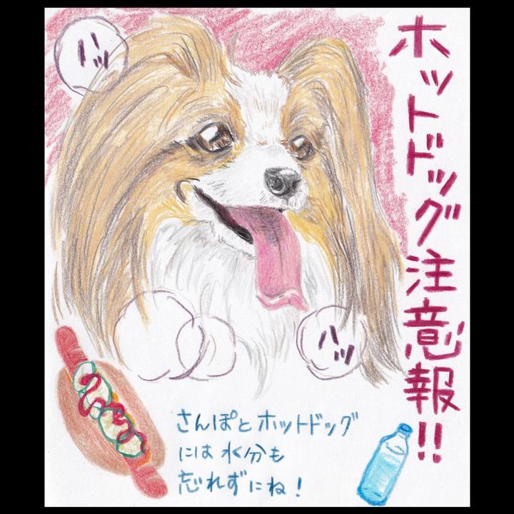 6320049b af50 4571 9431 e4e51fcb4c83 1658964457859