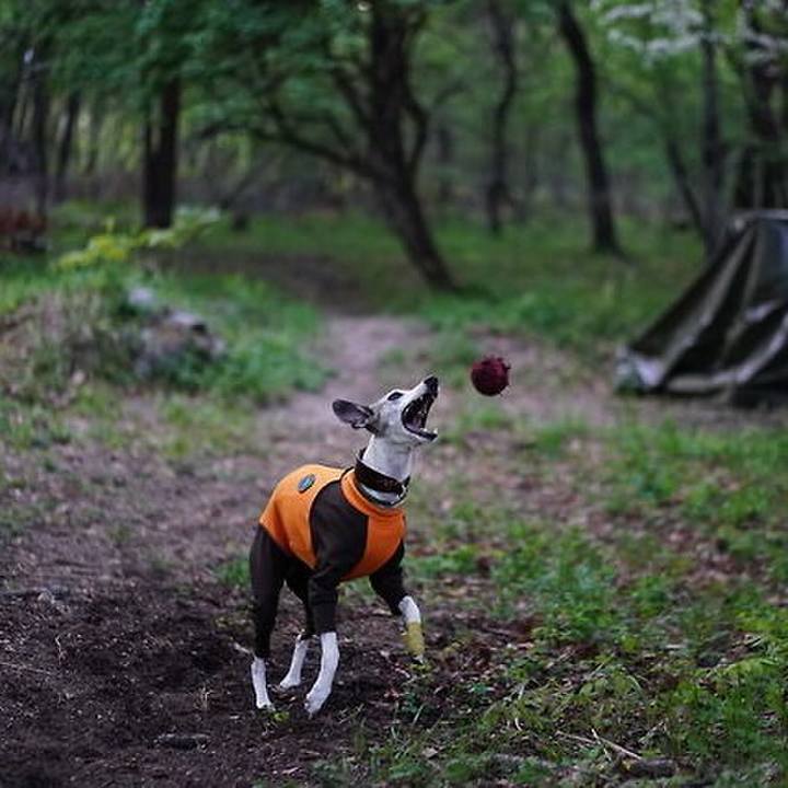 63201f98 e746 41f1 b966 29f5f5da016b 1528196173802